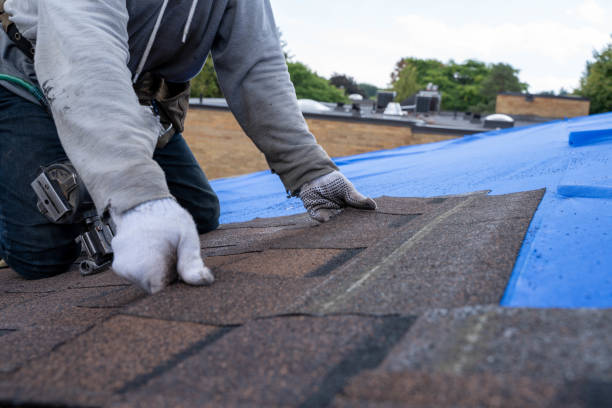 Roof Waterproofing Services in Aledo, IL