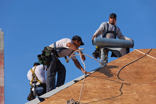 Best Local Roofing Companies  in Aledo, IL