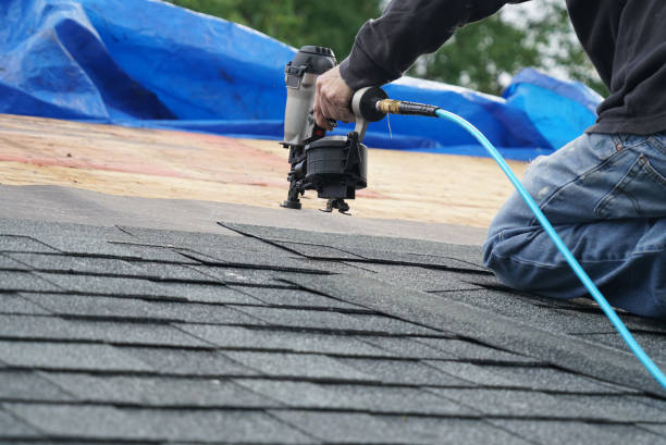 Roof Gutter Cleaning in Aledo, IL