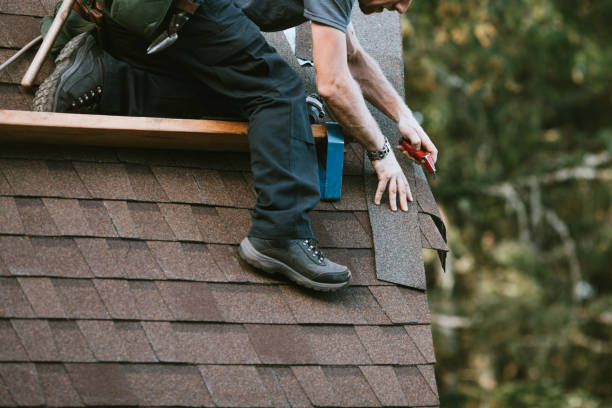 Best Metal Roofing Contractor  in Aledo, IL